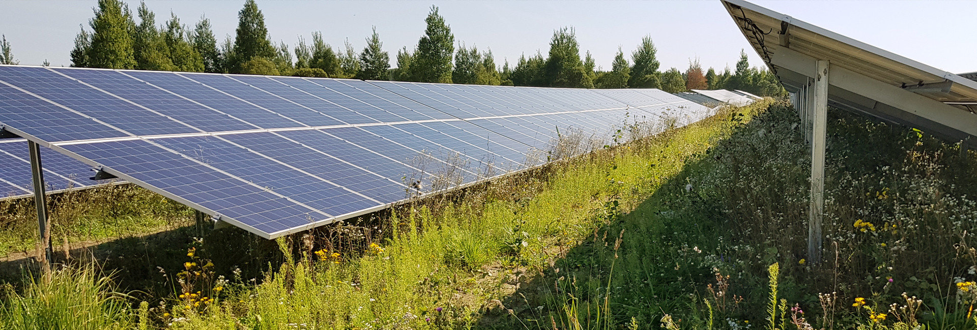 Sončne elektrarne na degradiranih področjih